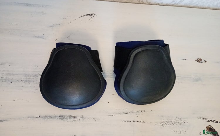 Benskydd hästutrustning till salu i Strömstad - Annons 20