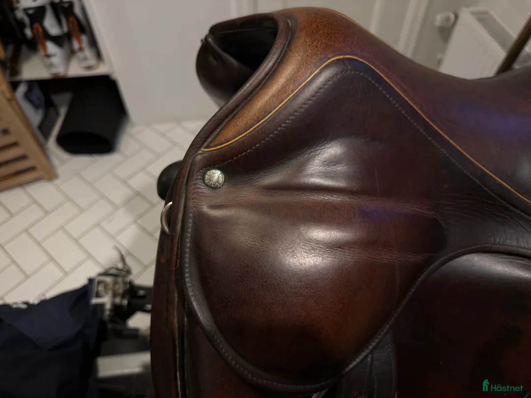 Sadlar hästutrustning till salu: Childéric dressyrsadel, stigbyglar, sadelgjord! i Bromma - Annons 2