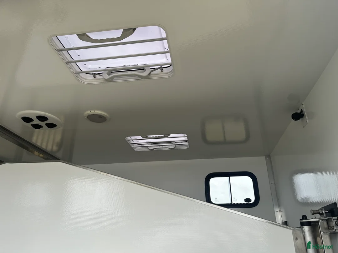 Hästlastbilar  fordon & transport till salu: Xtreme Cargo Volume Stuteri i Klippan - Annons 9