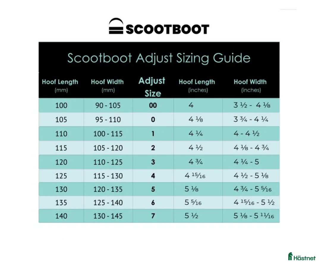 Övrig Hästutrustning hästutrustning till salu: Scoot Boots Adjust (Enduro) storlek 00 i Hörby - Annons 7