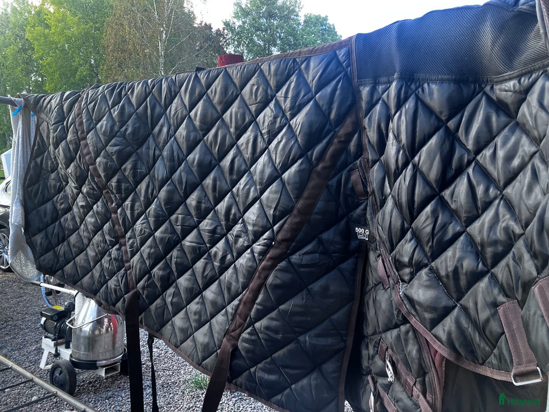 Täcken hästutrustning till salu: Stalltäcke Catago 500g stl 165 i Rimbo - Annons 1