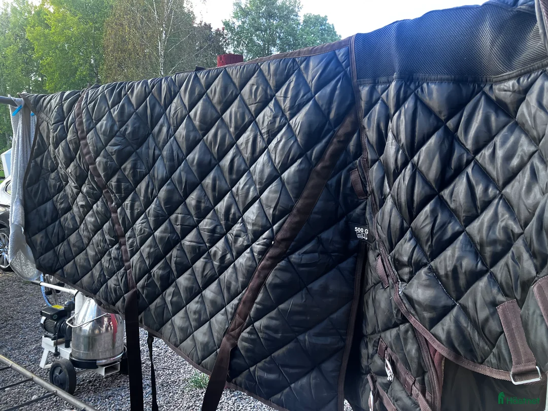 Täcken hästutrustning till salu: Stalltäcke Catago 500g stl 165 i Rimbo - Annons 1