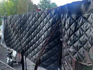 Täcken hästutrustning till salu: Stalltäcke Catago 500g stl 165 i Rimbo - Annons 2