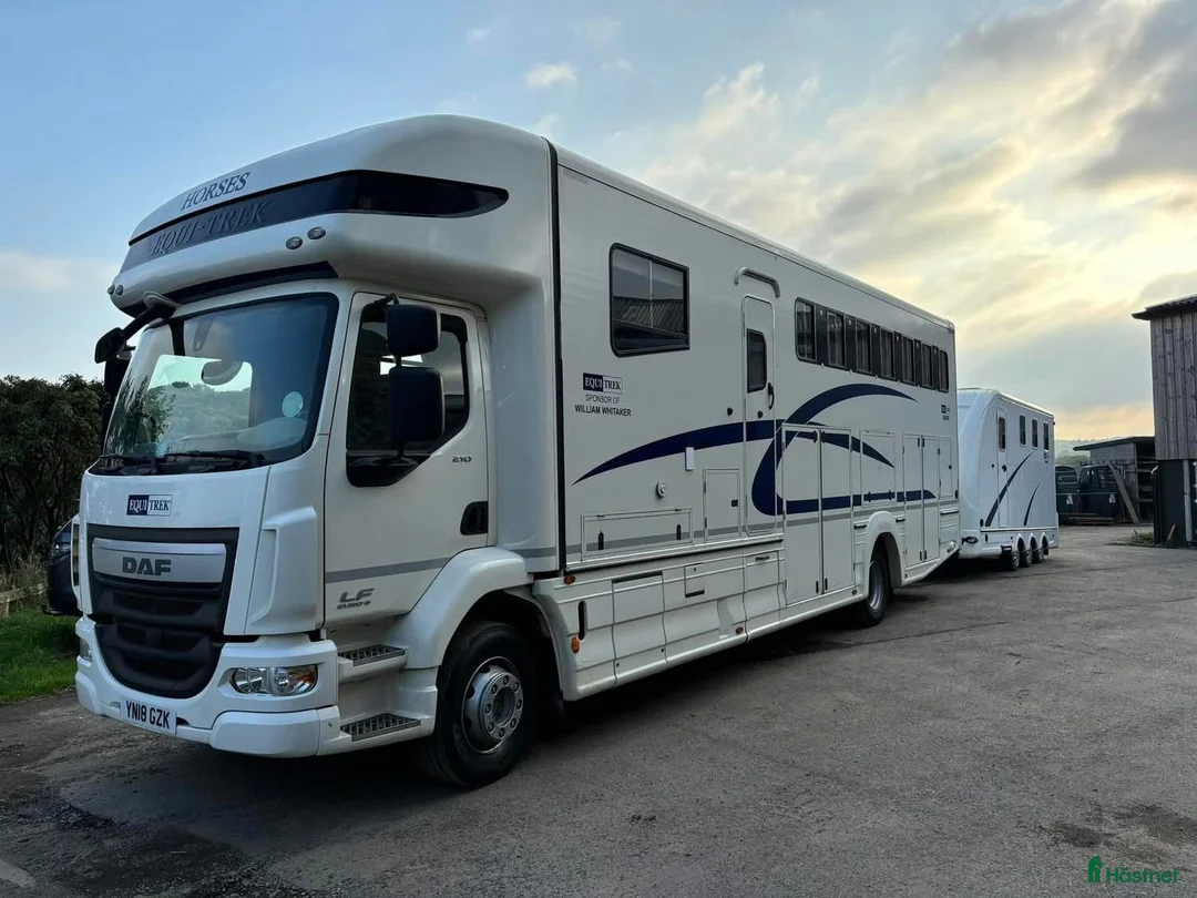 Hästlastbilar  fordon & transport till salu: Equi-Trek Explorer Euro6  i Teckomatorp - Annons 3