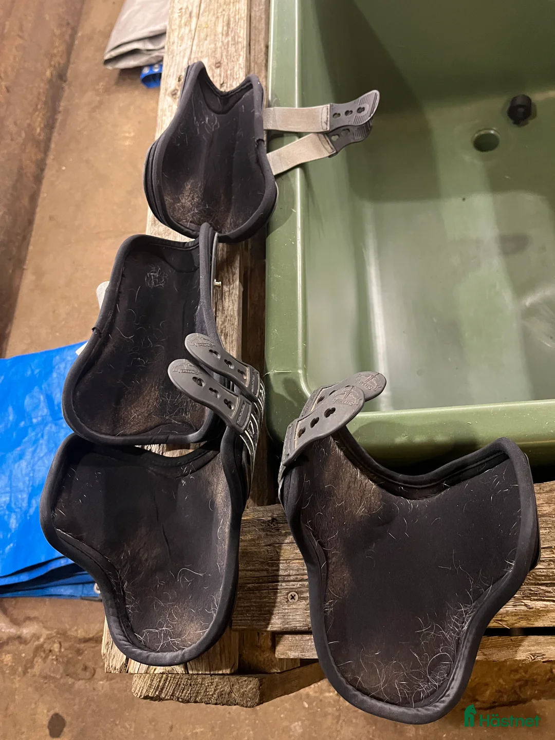 Benskydd hästutrustning till salu: Veredus set i Håcksvik - Annons 3