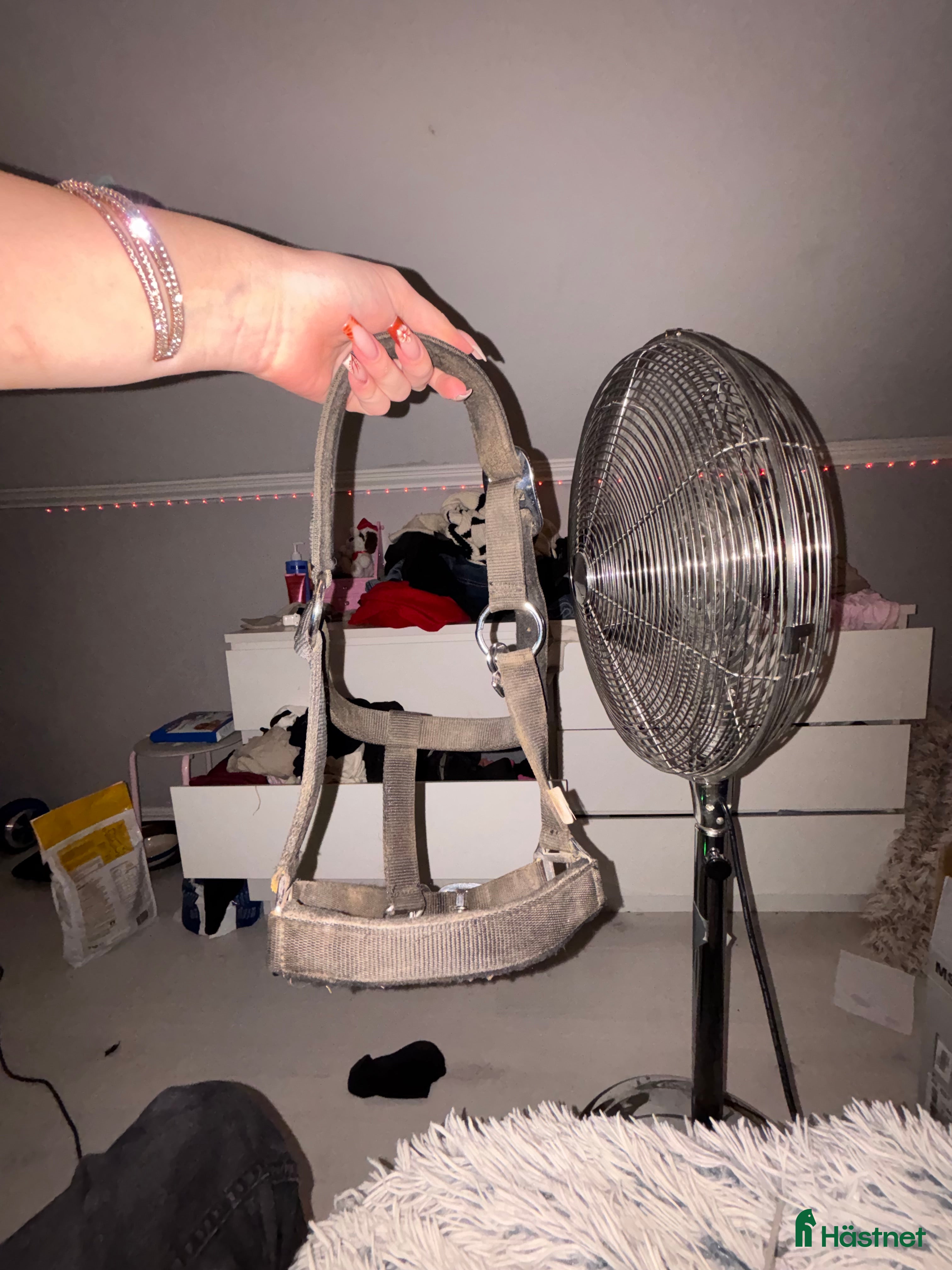 Övrig Hästutrustning hästutrustning till salu: Grimma i Fristad - Annons 1