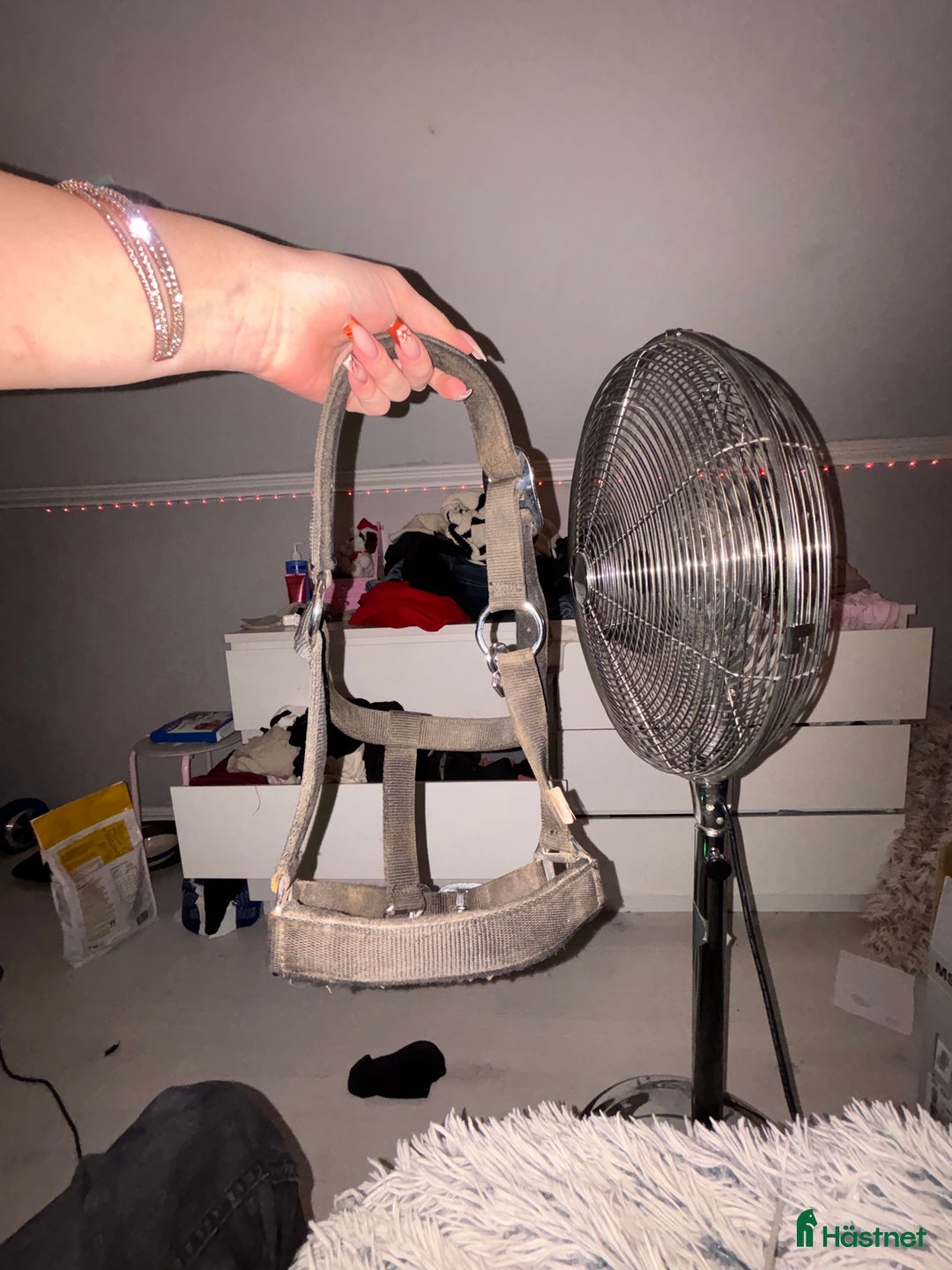 Övrig Hästutrustning hästutrustning till salu: Grimma i Fristad - Annons 1