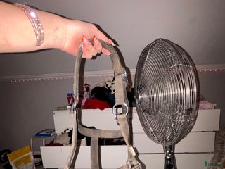 Övrig Hästutrustning hästutrustning till salu i Fristad - Annons 27