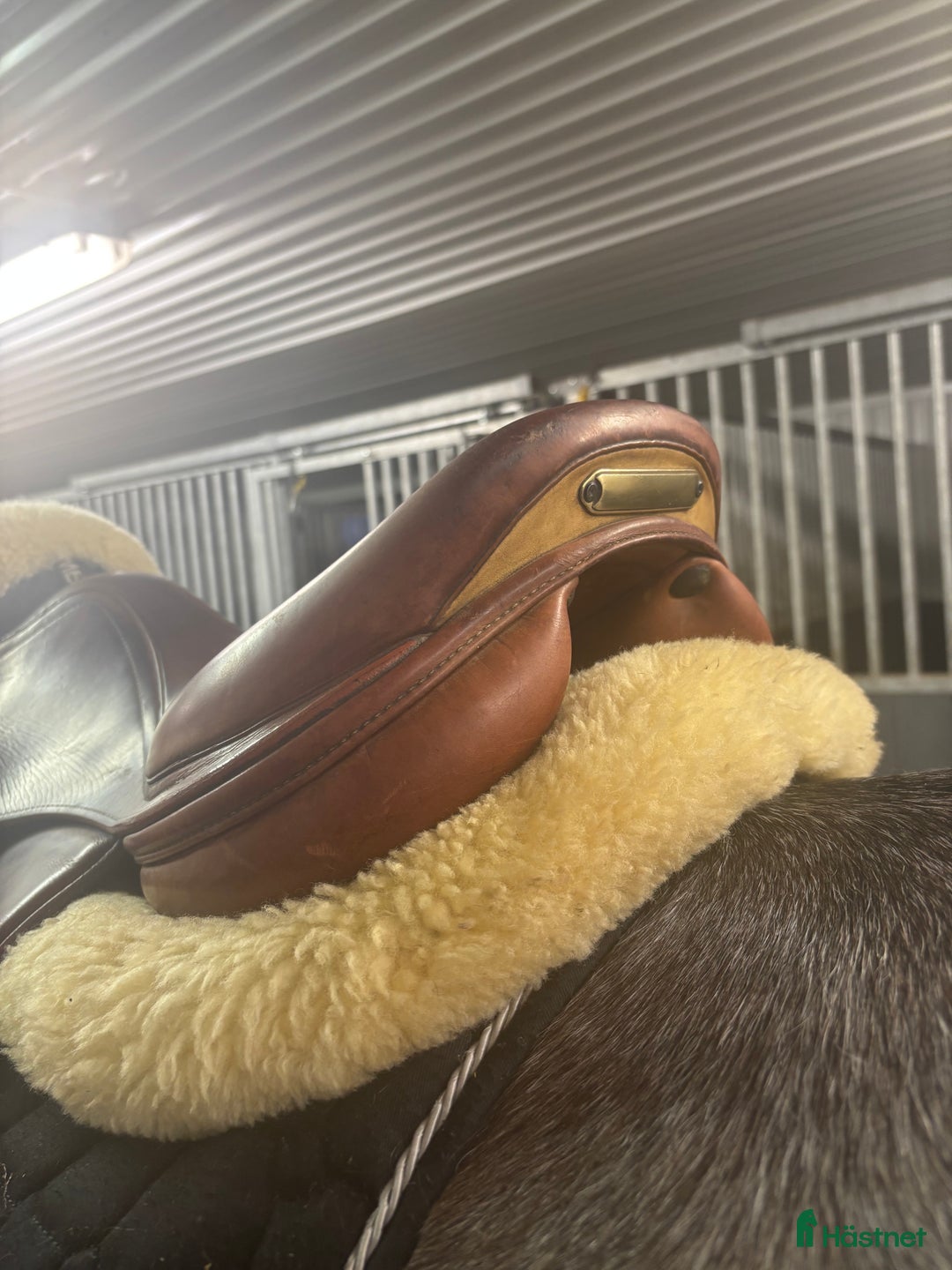 Sadlar hästutrustning till salu: Prestige Paris  i Malung - Annons 2