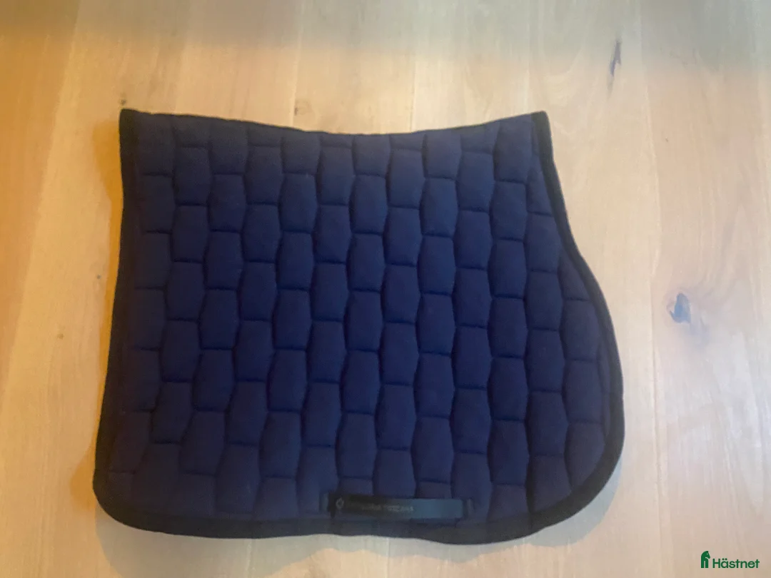 Schabrak & Vojlockar hästutrustning till salu: Cavalleria Toscana schabrak  - Annons 4