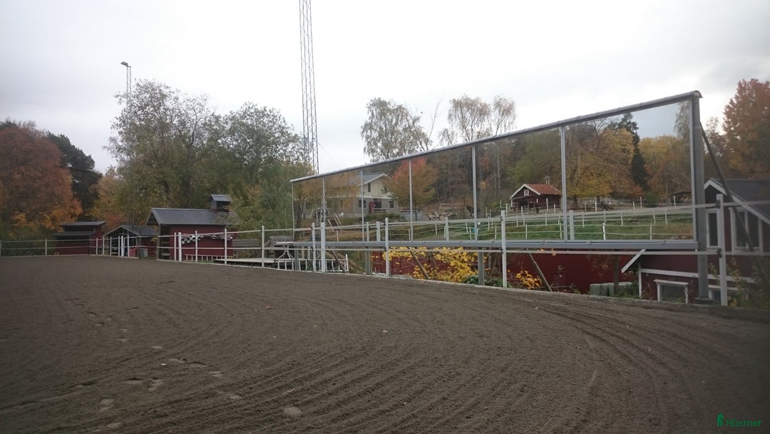  stallplats finnes: Lång utevistelse och ridhus i Sollentuna i Sollentuna - Annons 5