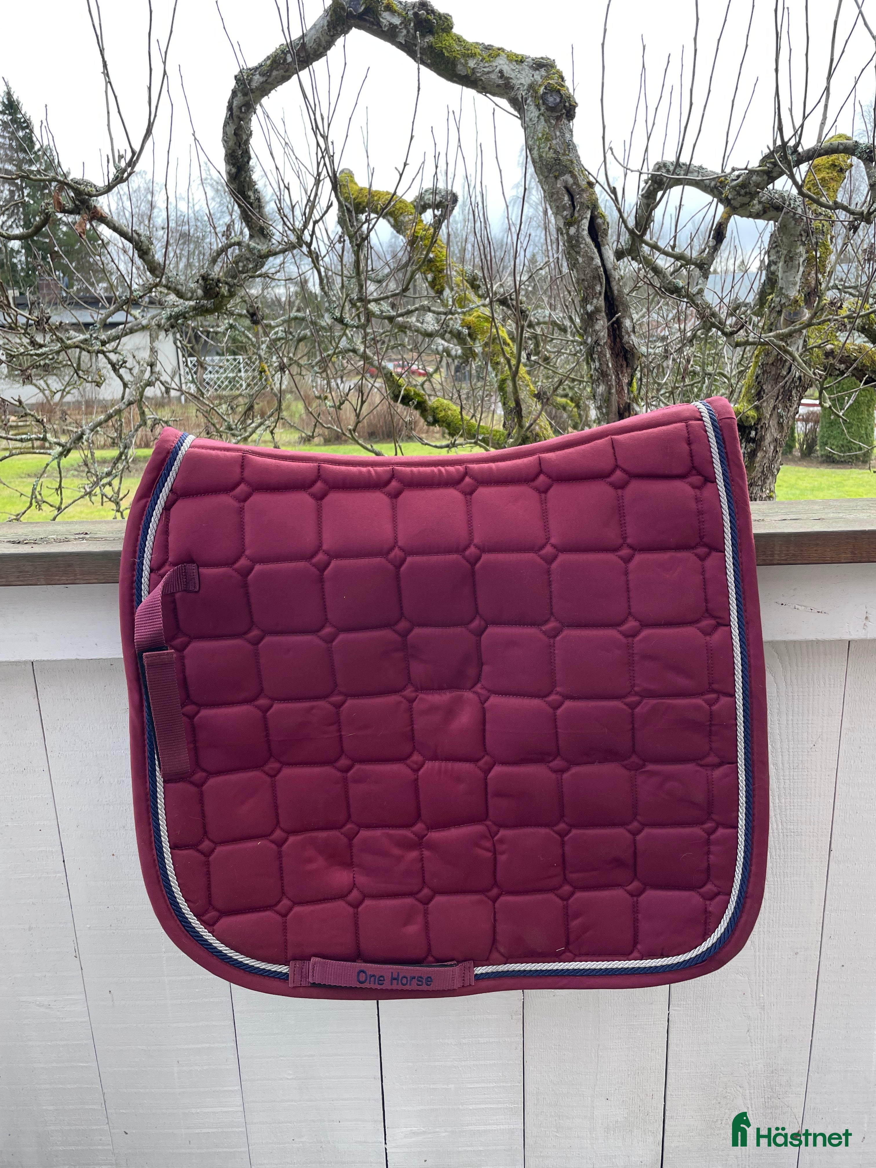 Schabrak & Vojlockar hästutrustning Stiligt dressyrschabrak - Annons 14