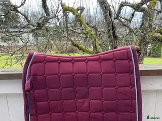 Schabrak & Vojlockar hästutrustning Stiligt dressyrschabrak - Annons 6