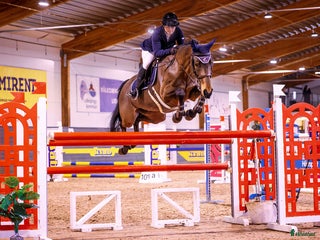 hästjobb Behöver du hjälp med din häst/ponny🤩 i Svenshögen - Annons 6