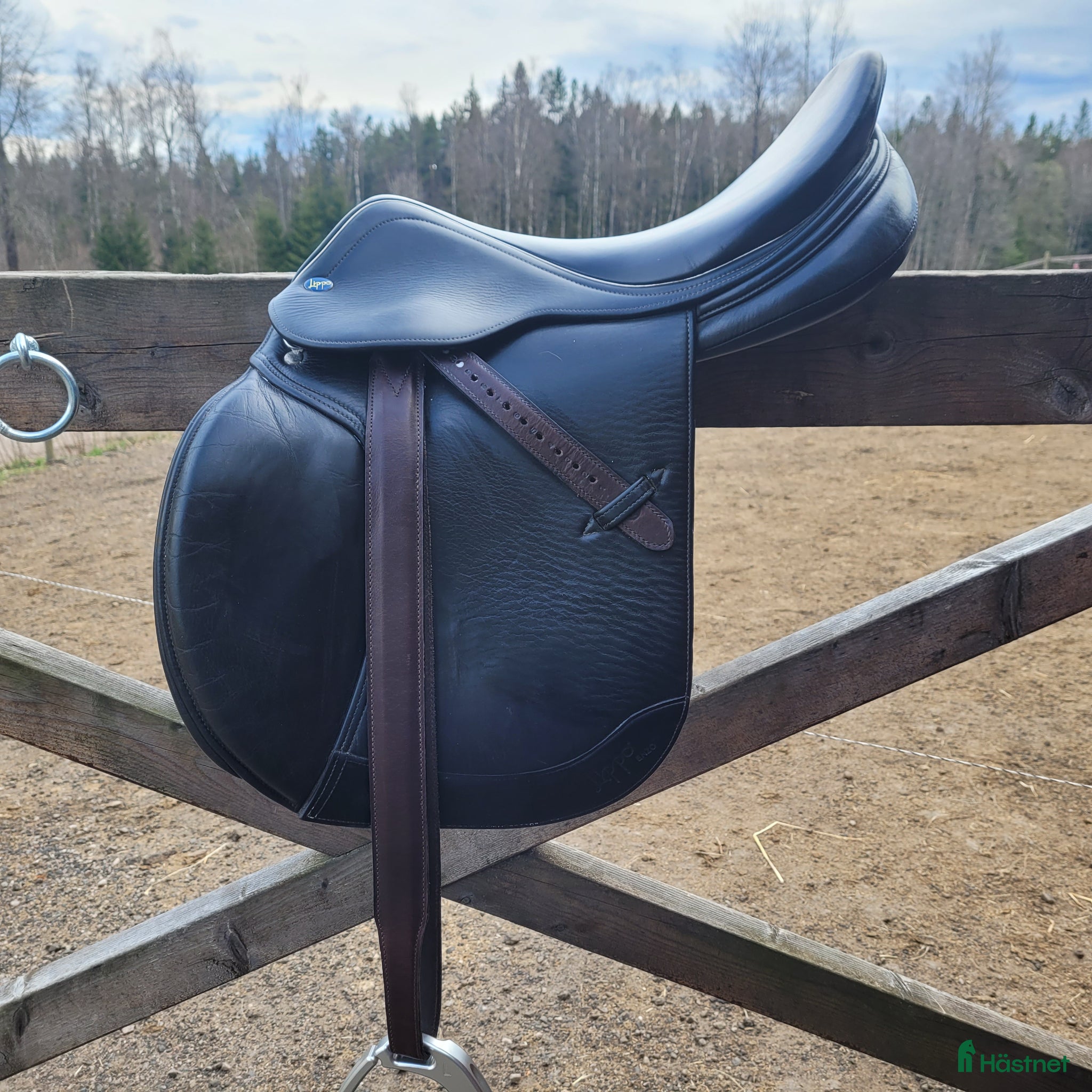 Sadlar hästutrustning Lippo Enzo - Annons 1