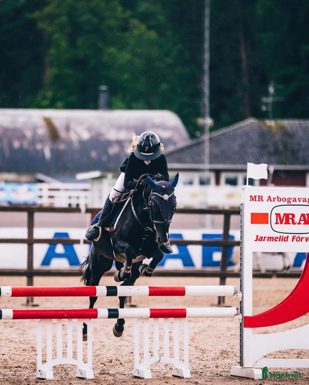 Hoppning hästar till salu: Maxad B ponny  - Annons 2