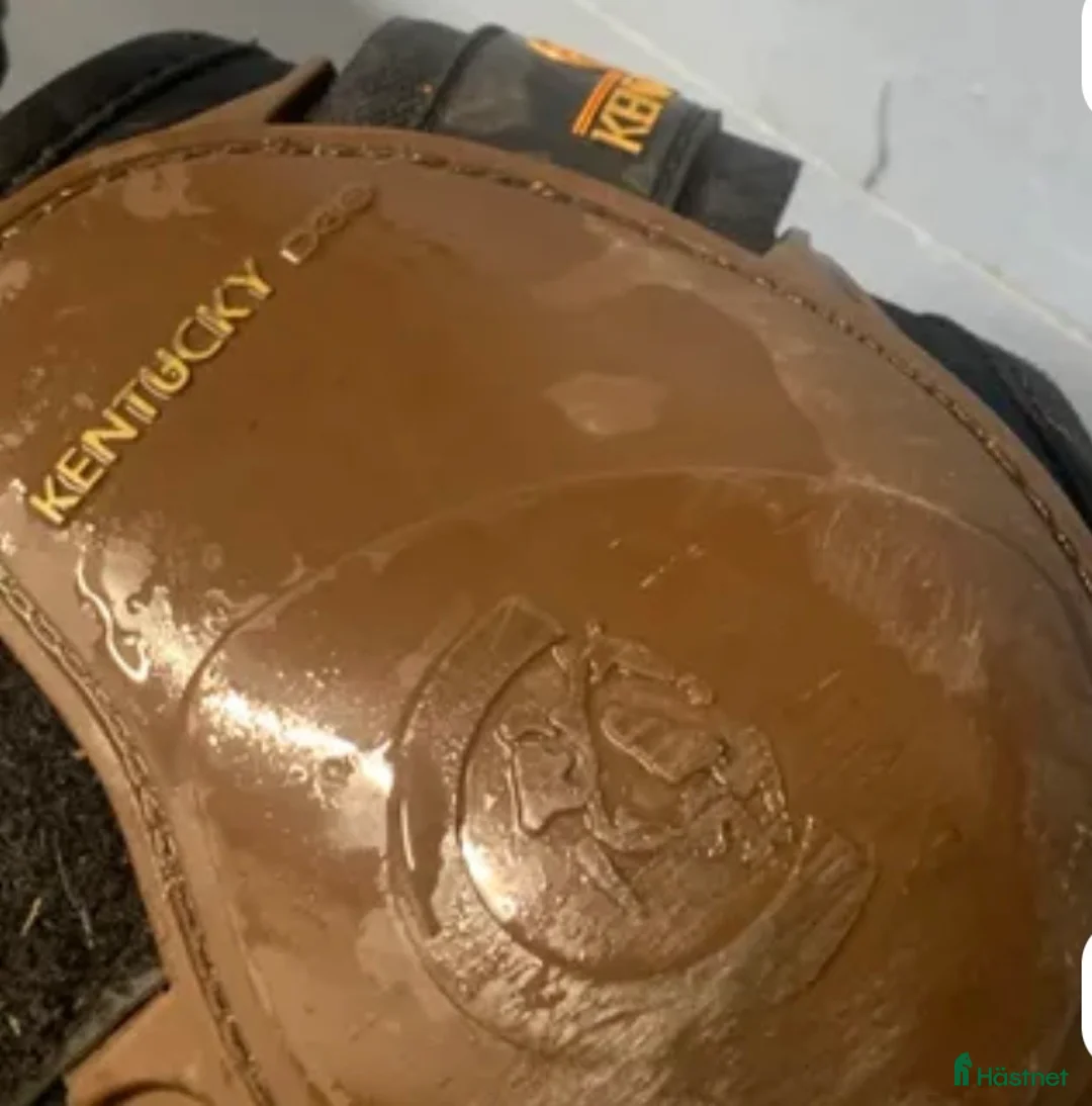Benskydd hästutrustning till salu: Kentucky D30 - Annons 2