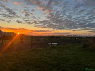 stallplats Boxplatser lediga i Flyinge - Annons 10