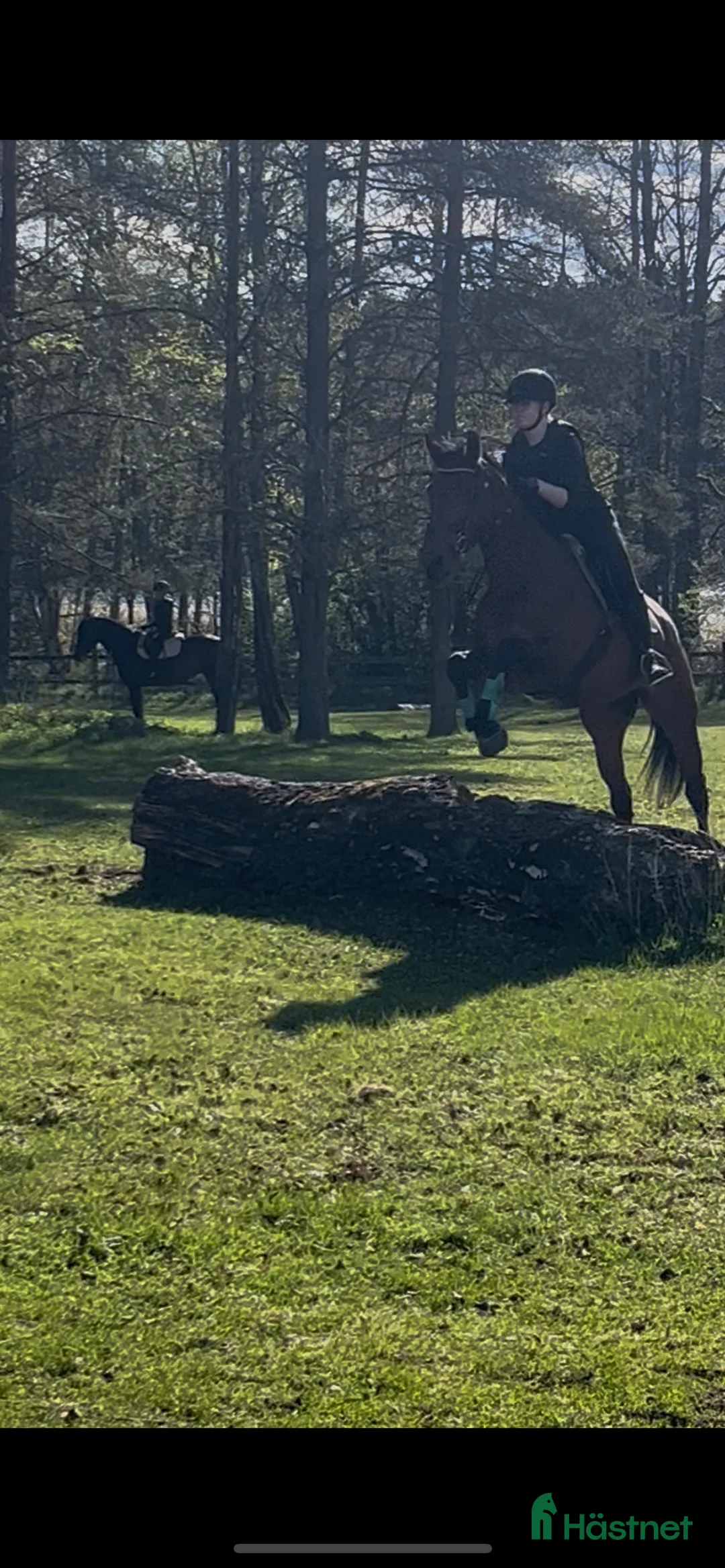 Galleribild {{count}}