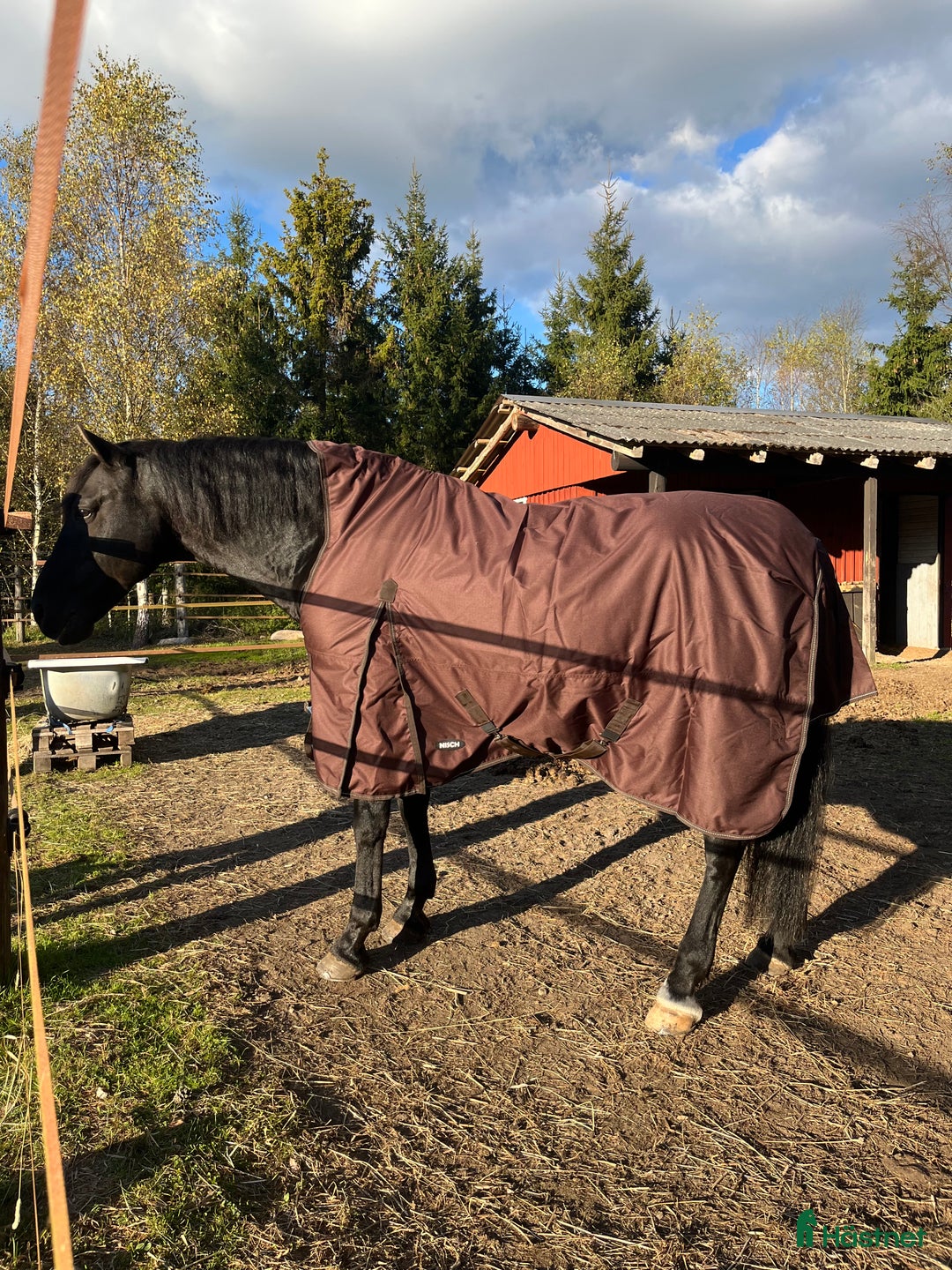 Täcken hästutrustning till salu: Nisch utetäcke i Ljungby - Annons 2
