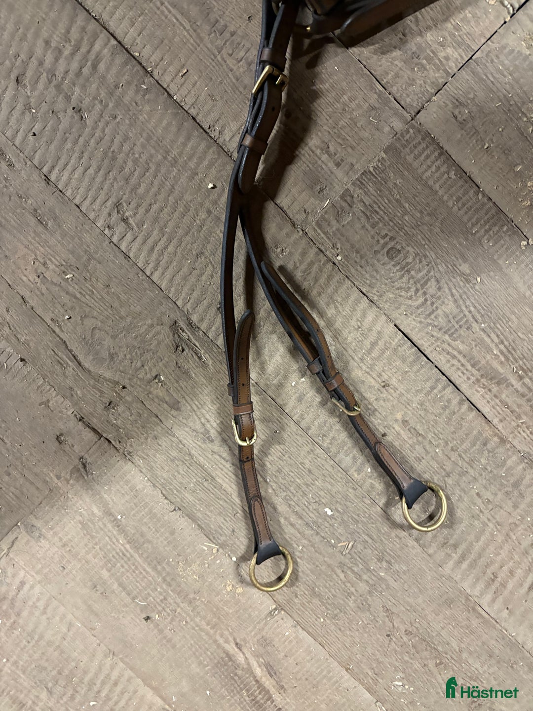 Träns hästutrustning till salu: Begagnad Bruno Delgrange förbygel med martingal i Karlstad - Annons 3