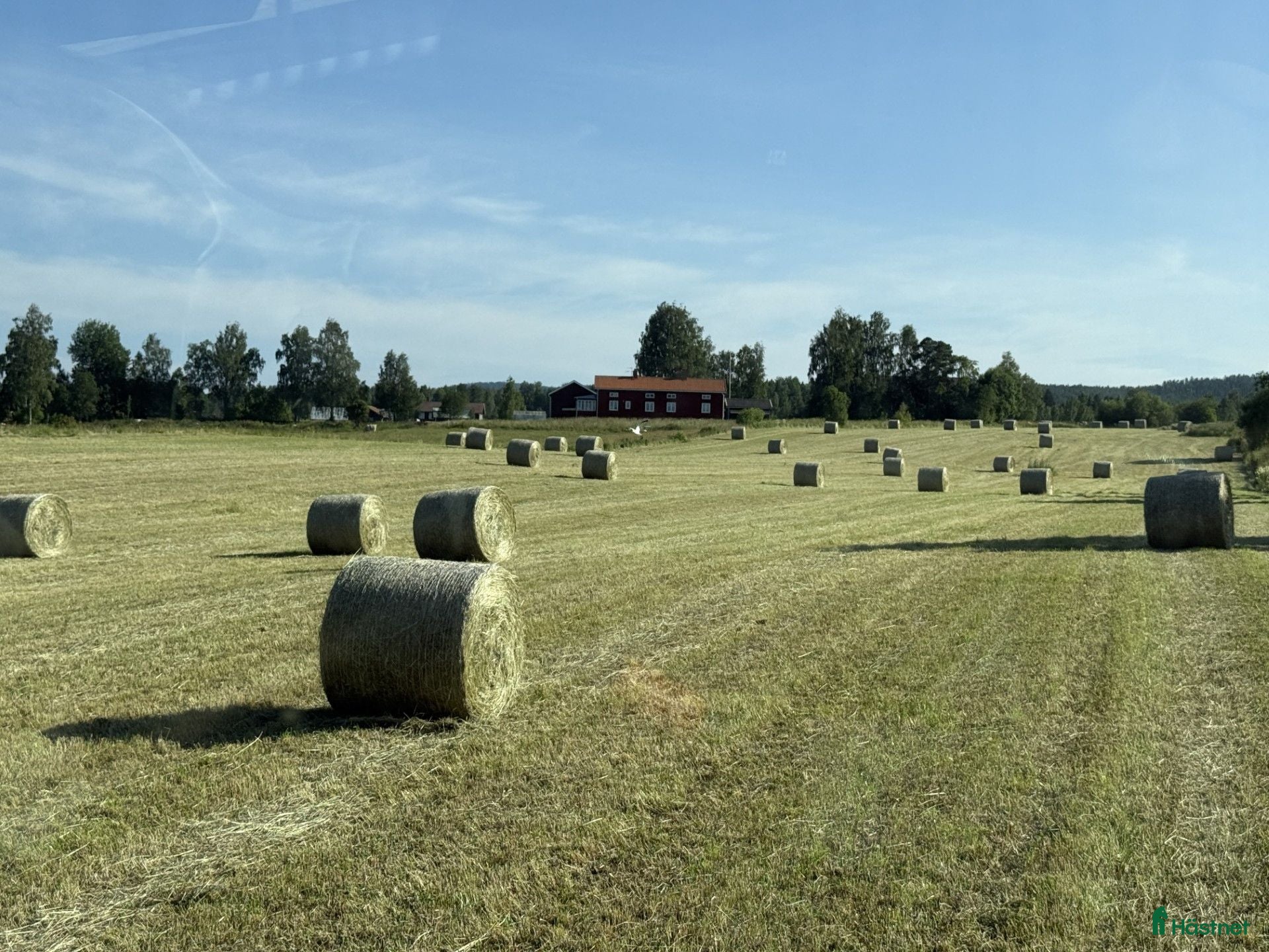  hästservice Hö i rundbal och småbal - Annons 4