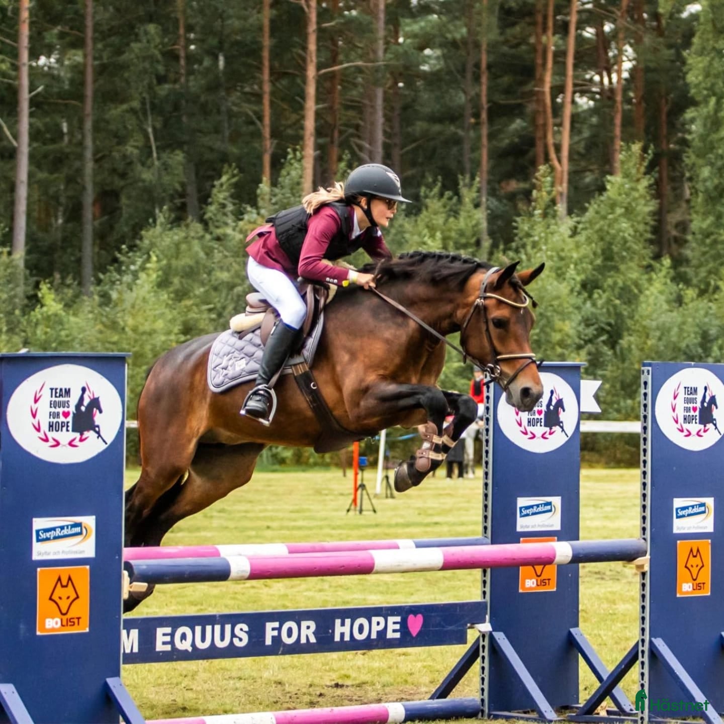  hästar Söker en trevlig Dponny i Johannishus - Annons 6
