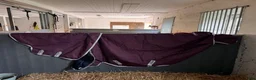 Täcken hästutrustning till salu: Horseware utetäcken - Annons 5