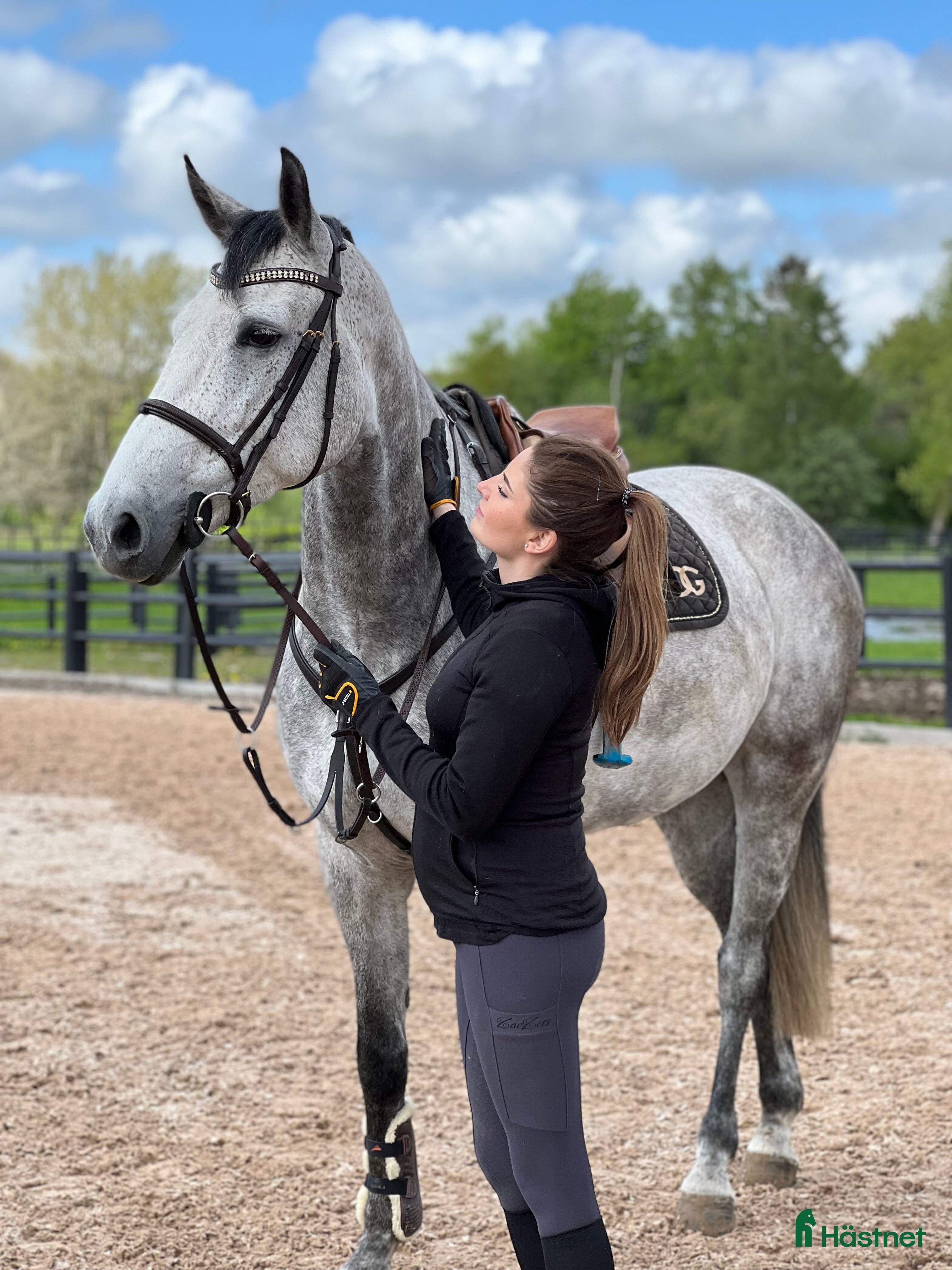  hästar En bra första storhäst! i Knäred - Annons 17