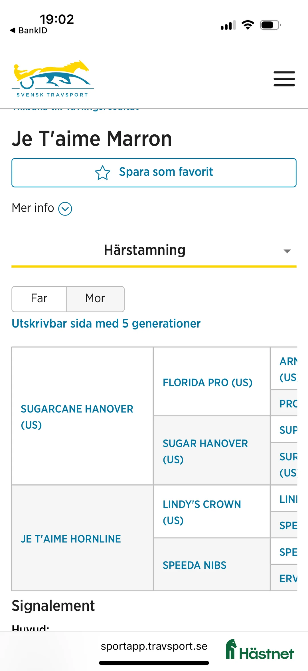Trav hästar till salu: Nyfiken välhanterat årsföl e Hayden Hanover i Tystberga - Annons 6