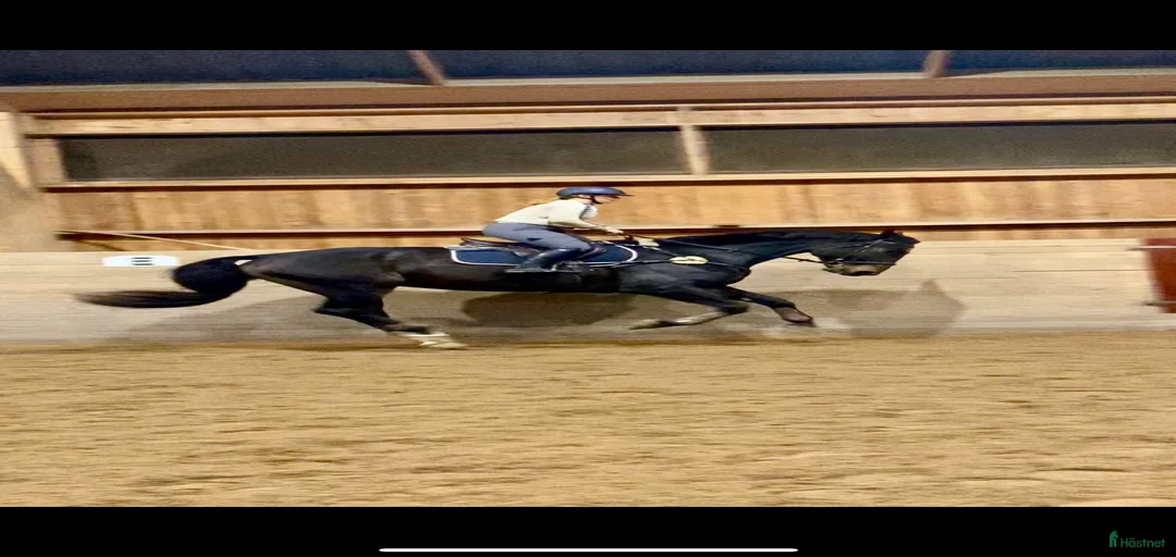 Galleribild {{count}}