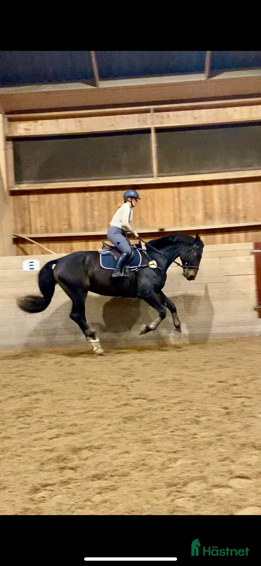 Galleribild {{count}}