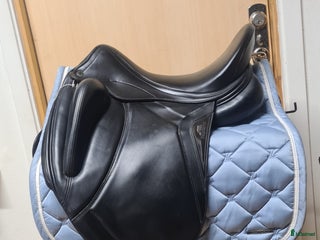 Sadlar hästutrustning till salu: Equiline Alisium i Hamneda - Annons 6