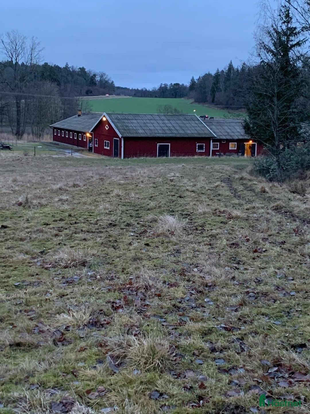  stallplats finnes: Plats för islandshäst mellan Sthlm o Nynäshamn i Ösmo - Annons 3