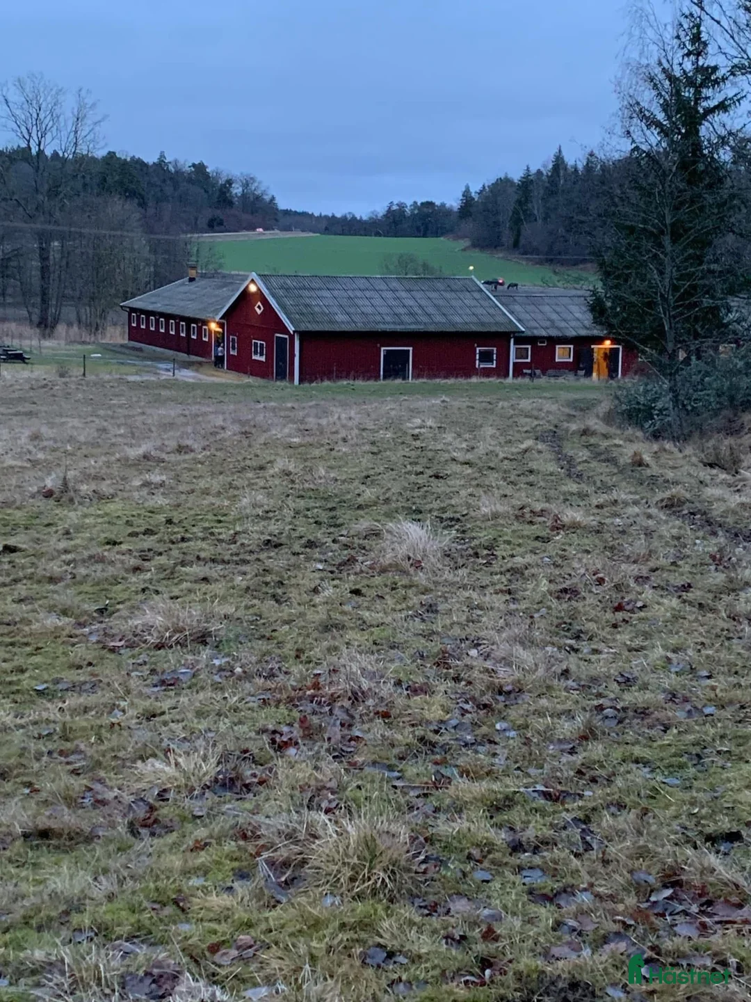  stallplats finnes: Plats för islandshäst mellan Sthlm o Nynäshamn i Ösmo - Annons 3