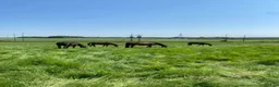  stallplats finnes: STALL eller stalldelar uthyres från 1 Augusti i Märsta - Annons 4