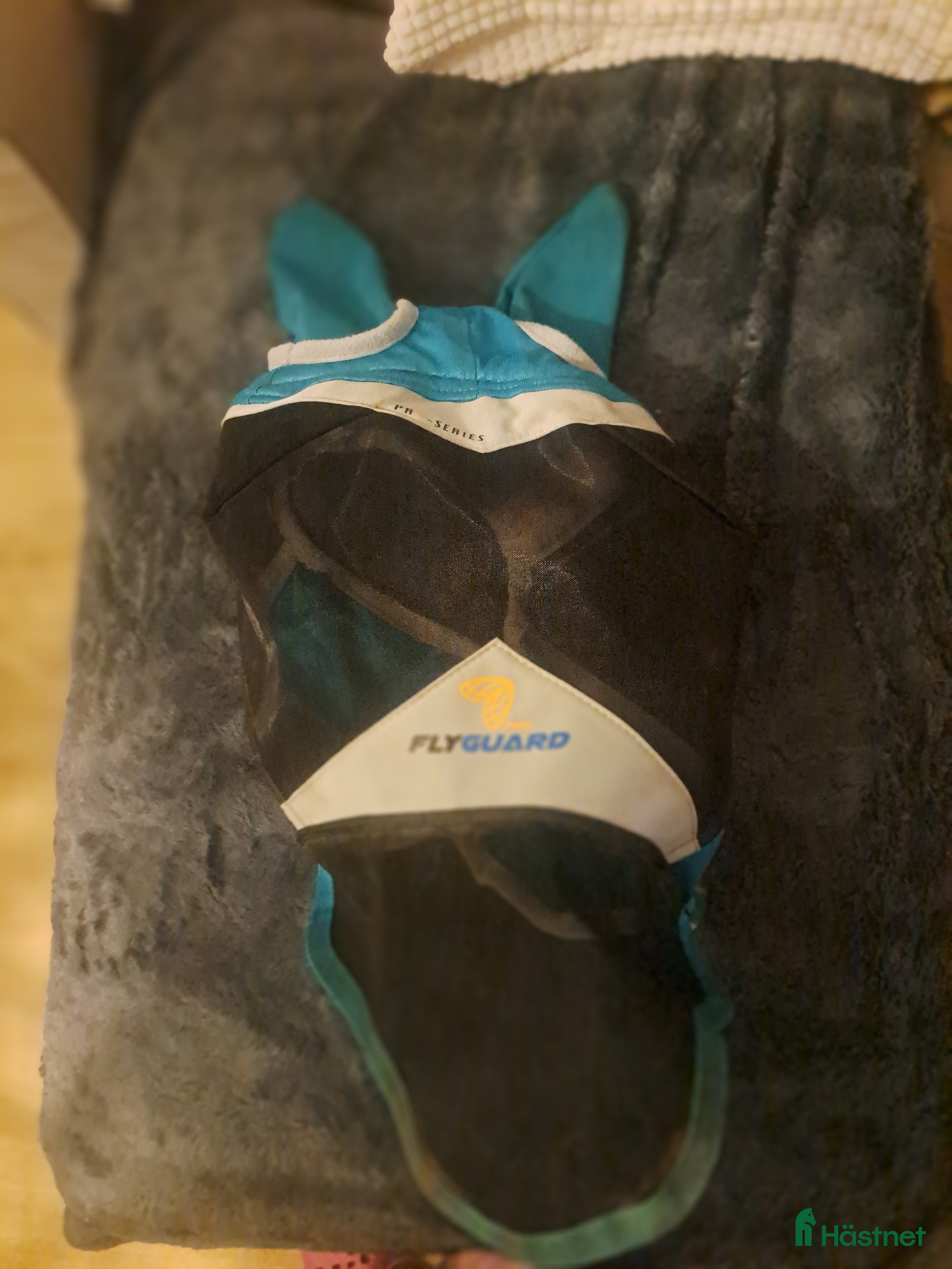 Träns hästutrustning till salu: Helt ny flug huva - Annons 4