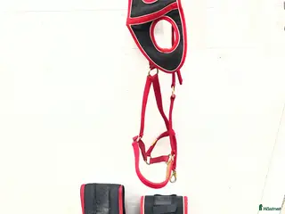 Övrig Travutrustning trav till salu: Travsaker i röd och svart i Gävle - Annons 5