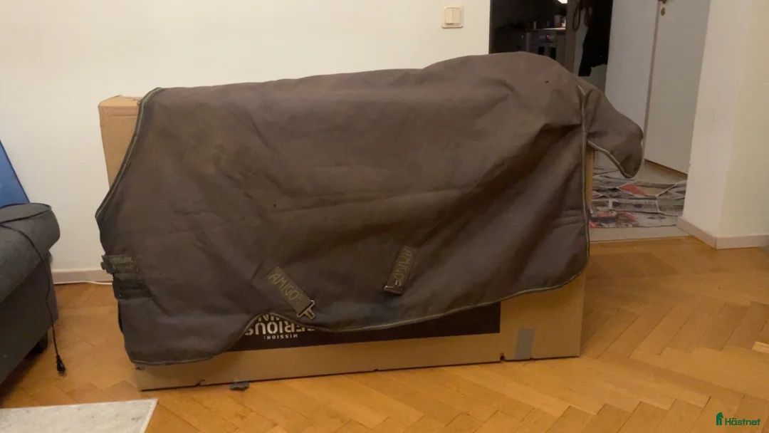 Täcken hästutrustning till salu: Stort parti hästsaker och 2 hjälmar i Borås - Annons 21