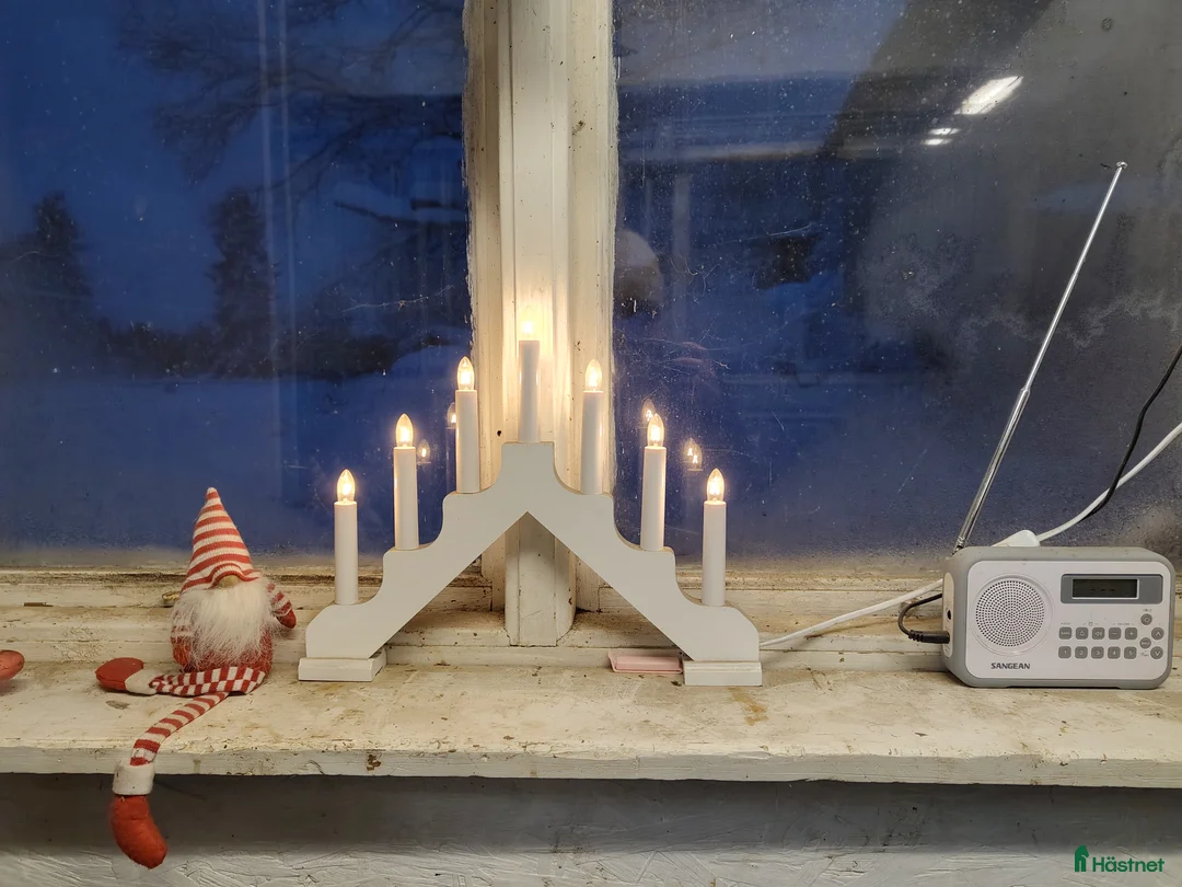  stallplats finnes: Två-Tre stallplatser i Tungelsta uthyres.  - Annons 11