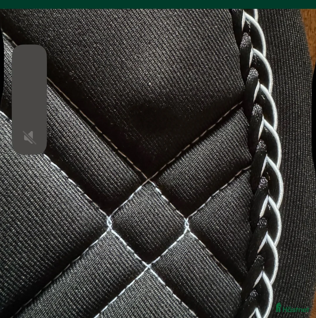 Schabrak & Vojlockar hästutrustning till salu: Nytt svart schabrak i Torsåker - Annons 2