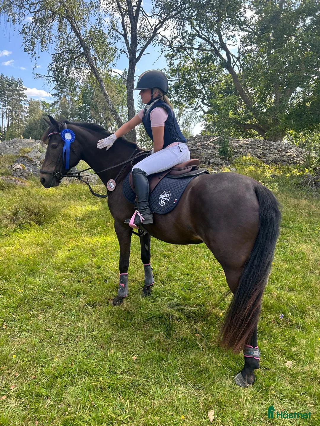Hoppning hästar till salu: Perfekt läromästare  - Annons 1