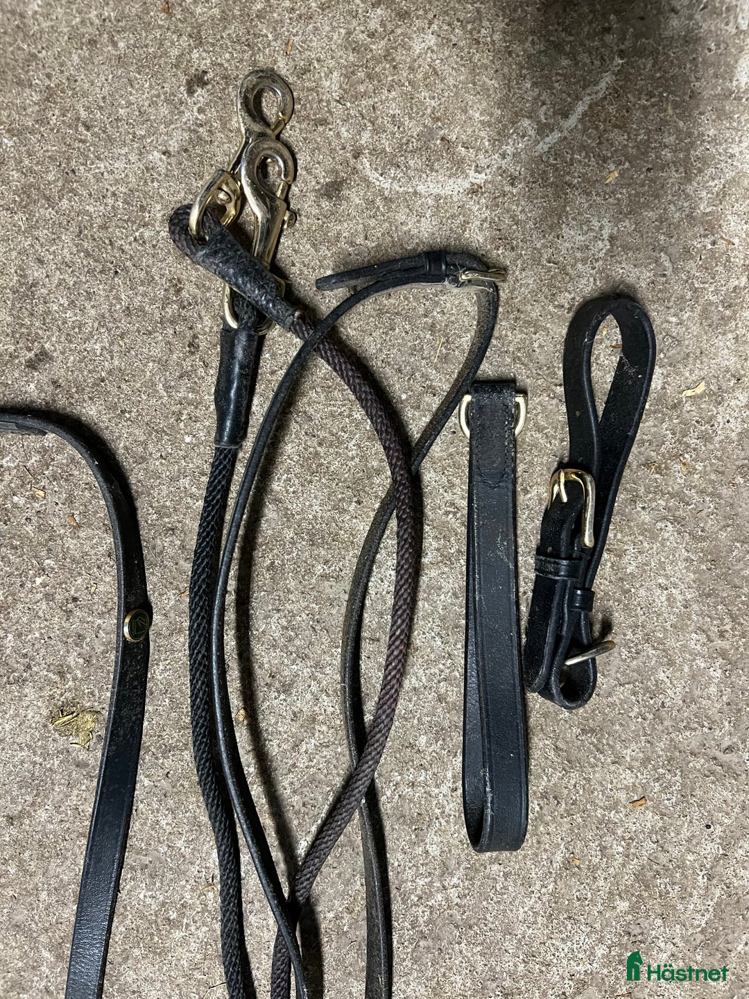 Övrig Hästutrustning hästutrustning till salu: Gramantygel i Växjö - Annons 2
