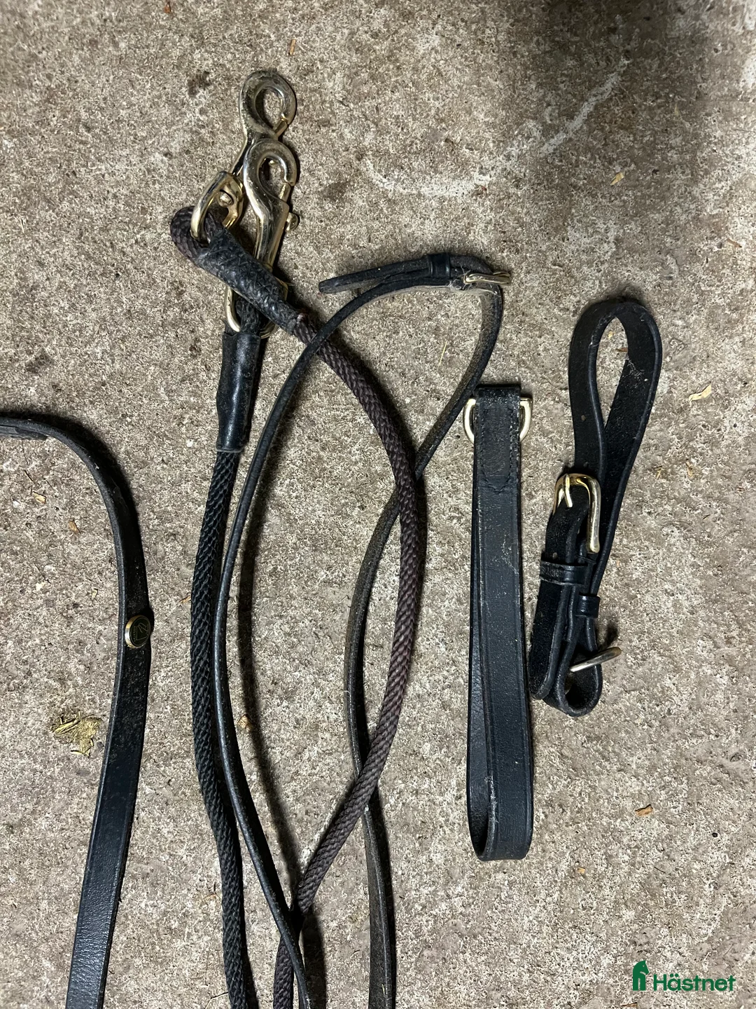 Övrig Hästutrustning hästutrustning till salu: Gramantygel i Växjö - Annons 2