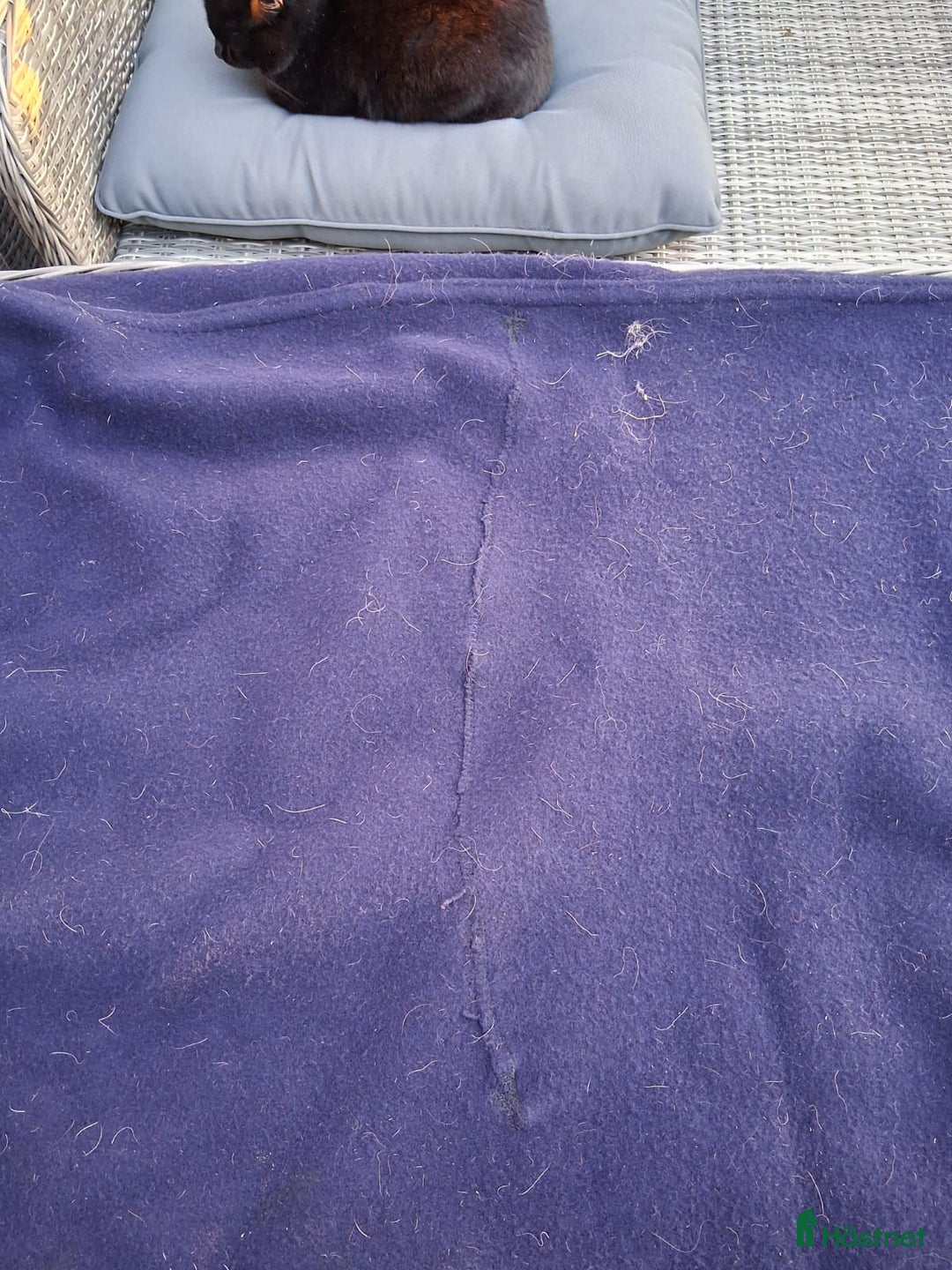 Täcken hästutrustning till salu: Täcken 130-135 cm i Ljungbyholm - Annons 10