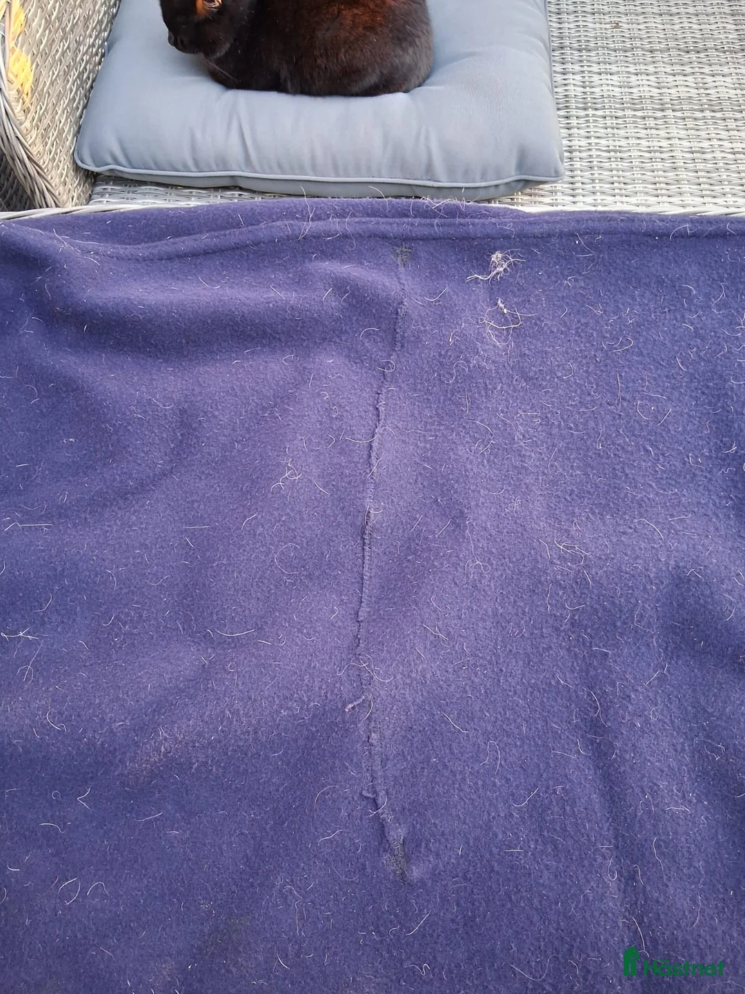 Täcken hästutrustning till salu: Täcken 130-135 cm i Ljungbyholm - Annons 10