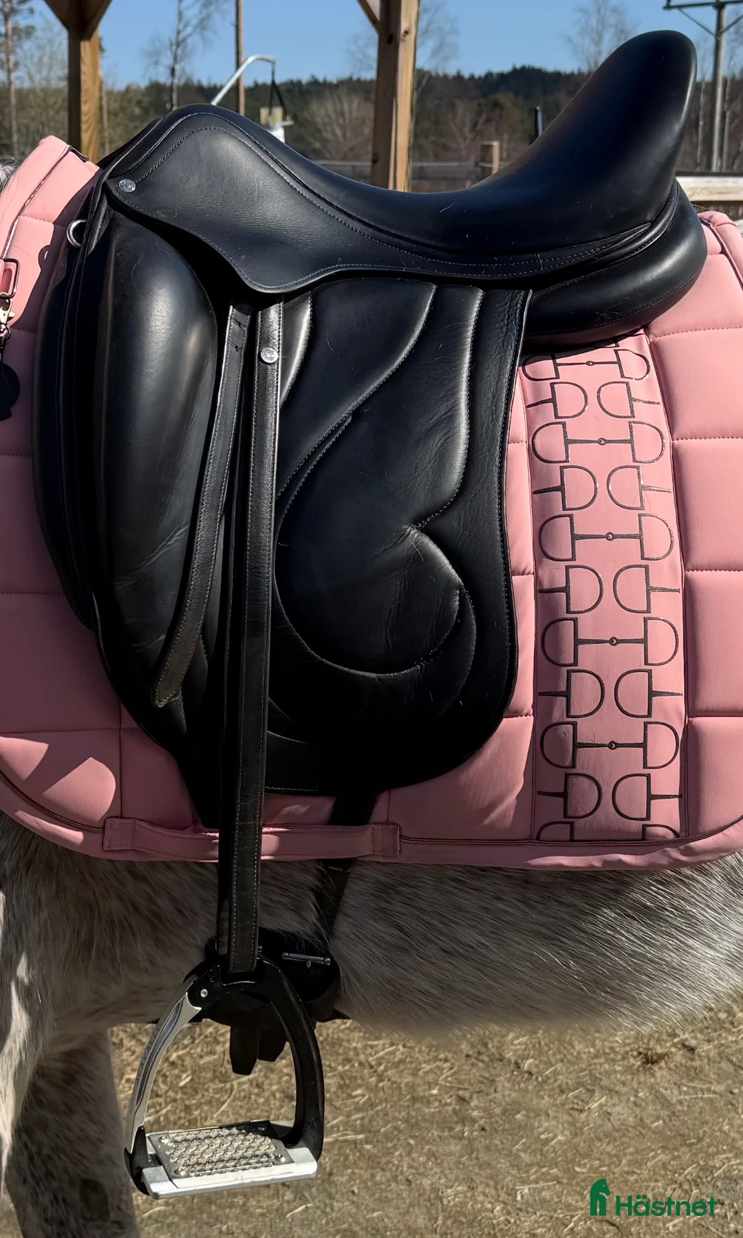 Sadlar hästutrustning till salu: Antares cadence -19 - Annons 2