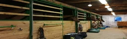  stallplats finnes: Boxplats - Annons 5
