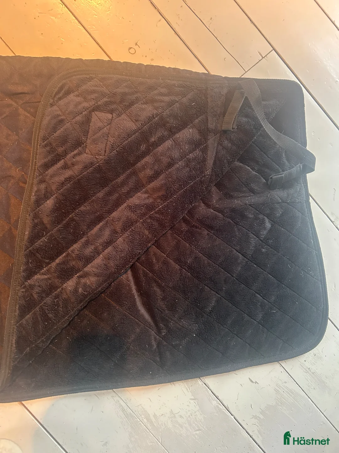 Täcken hästutrustning till salu: Svart Kentucky ländtäcke - Annons 3