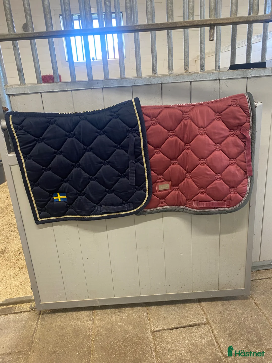 Schabrak & Vojlockar hästutrustning till salu: Equestrian dressyr schabrak - Annons 1